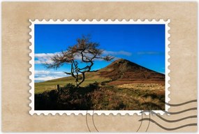 Poszterek 90x60 Elpusztíthatatlan fa