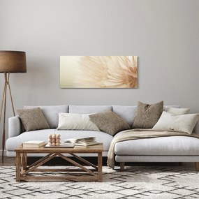 Kép - Virág részletek (120x50 cm)