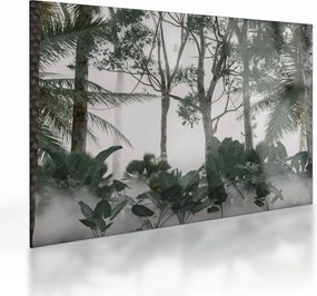 Kép - dzsungel a reggeli ködben (üvegen) (70x50 cm)