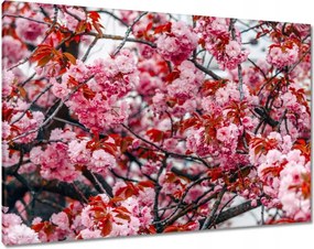 Vászonkép 100x70 Finom virágok Virágok