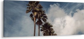 Kép - Pálma dráma (120x50 cm)