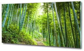 Üvegfotó Bambusz erdő osh-60510509