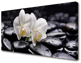 Vászonkép falra Zen White Orchid Spa 100x50 cm