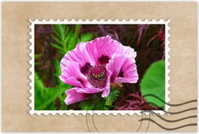 Poszter 60x40 Lila virág