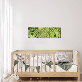 Kép - Páfránylevél (órával) (90x30 cm)