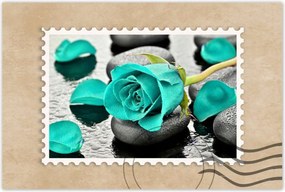 Poszterek 90x60 Türkiz rózsa