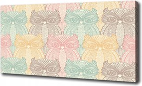 Vászonkép modern Baglyok 100x70 cm