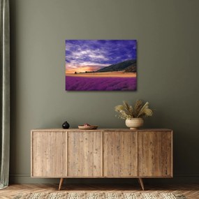 A levendula rét képe (70x50 cm)