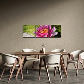 Kép - Tavirózsa (órával) (90x30 cm)