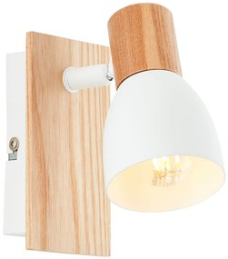Brilliant DAINTREE 99710/75 Fali lámpa 1x28W/E14 IP20
