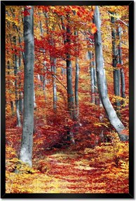 Poszterek keretben 40x60 Tájkép