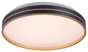 Rabalux 71141 - LED dimmelhető mennyezeti lámpatest GANDOR LED/24W/230V 3000-6500K