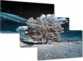 Festmények 150x105 Fenséges fa