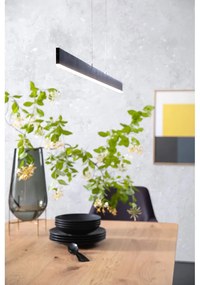 Fekete LED dimmelhető függőlámpa Straight – Fischer &amp; Honsel