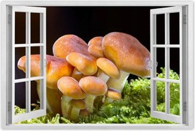 Poszterek 120x80 Gomba az erdőben Közelkép