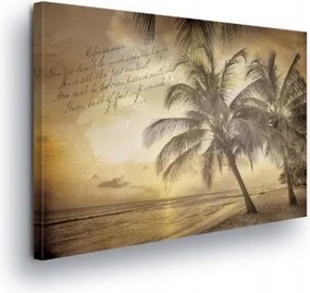Vászonkép 60x40 Trópusok tengerpart pálmafák naplemente tenger vintage retro nyár