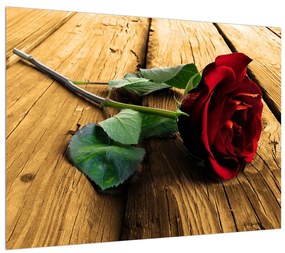 Rózsa kép (70x50 cm)