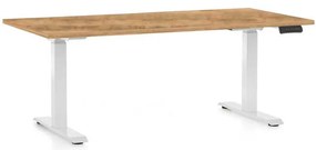 OfficeTech C állítható magasságú asztal, 160 x 80 cm, fehér alap, arany tölgy