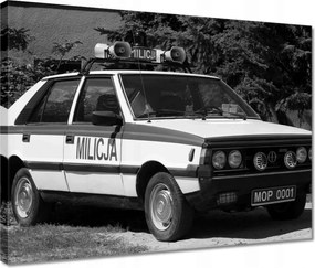 Vászonkép 40x30 Military Polonez