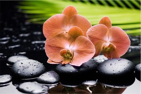Kép - Narancssárga orchidea pálmalevelekkel (90x60 cm)