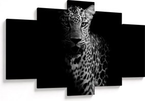 Kép - Egy leopárd portréja (150x105 cm)
