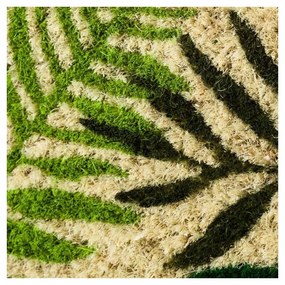 Kókuszrost lábtörlő 60x40 cm Tropicalia – Casa Selección