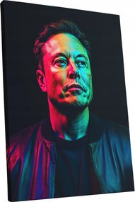 Vászonkép Portré Elon Musk nappali Elon Musk ajándék 30x40