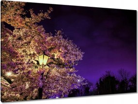 Festmények 120x80 Éjszakai motívum a nappaliba