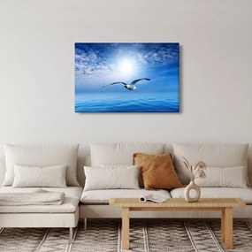 Kép - Sirály a tenger felett (90x60 cm)
