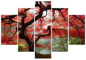 Red Japanese Maple, Portland, Oregon képe (150x105 cm)