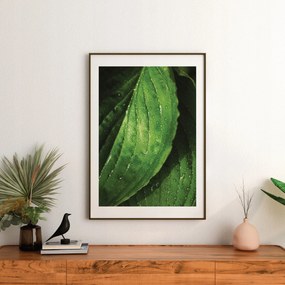 Poszter Fény cseppekben 50x70 cm Matt