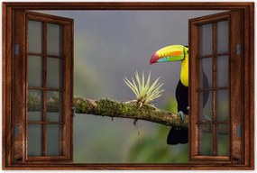 Poszterek 90x60 Madarak