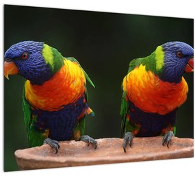 Papagájok képe (70x50 cm)