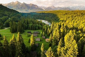 Vinyl flizelin Tapéta Tátra hegyek erdő jurg 370x255cm