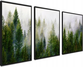 Poszterek Képek keretben modern triptichon erdő köd