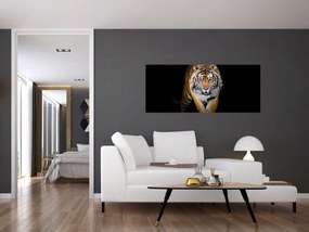 Kép - Tigris (120x50 cm)