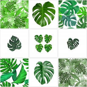 Vászonkép szett 9x 40x40 Mix Levelek Monstery