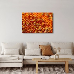 Kép - Méhsejtes (90x60 cm)