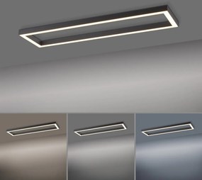 Paul Neuhaus modern mennyezeti lámpa pure-lines antracit pln6023-13