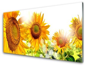 Üvegkép Napraforgó virág növény 125x50 cm