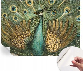 Öntapadós fali fotótapéta Hálószobába Fenséges páva 208x146 cm