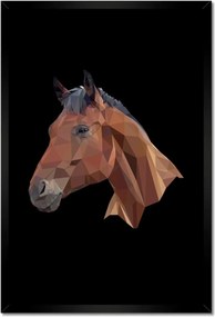Poszterek keretben 40x60 Lófej
