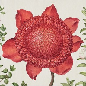 Flizelin Dekoratív fotótapéta Hálószobába Virágos elegancia 250x250