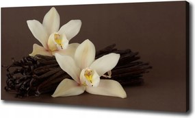 Vászonkép Vanília pálcák 120x60 cm