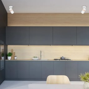 Spotlámpa VIDAR 1xGU10/25W/230V fehér