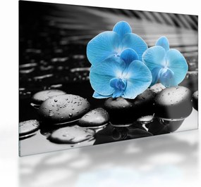 Üveg kép - Kék orchidea (70x50 cm)