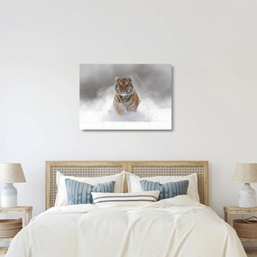 Futó tigris a hóban képe (üvegen) (70x50 cm)
