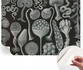 Divatos öntapadós fali tapéta Furnér Varázslatos növények 208x146 cm