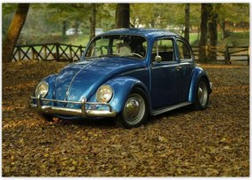 Poszterek 100x70 Bogár Vw autó]