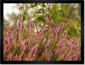Poszterek keretben 40x30 Hanga Virágok lila